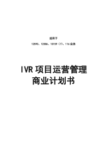 IVR项目运营管理商业计划书