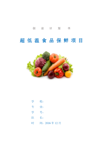 超低温食品保鲜项目创业商业计划书