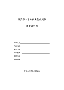 西安市大学生自主创业商业计划书