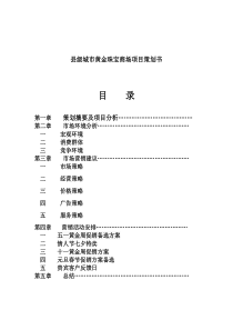 县级城市黄金珠宝商场项目策划书