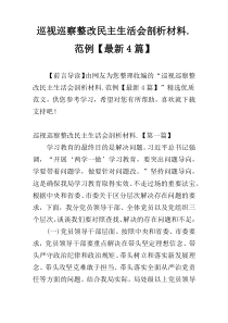 巡视巡察整改民主生活会剖析材料.范例【最新4篇】