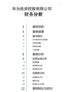 华为控股有限公司财务分析