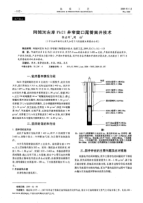 阿姆河右岸PIR21井窄窗口尾管固井技术