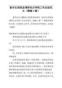 副市长到我县调研民办学校工作总结范文（精编3篇）