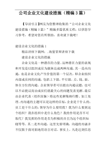 公司企业文化建设措施（精编3篇）