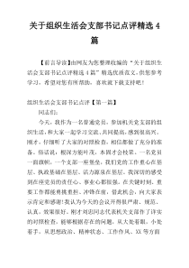 关于组织生活会支部书记点评精选4篇