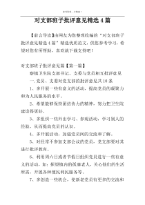 对支部班子批评意见精选4篇