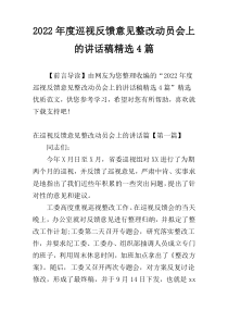 2022年度巡视反馈意见整改动员会上的讲话稿精选4篇