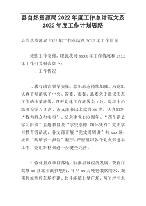 县自然资源局2022年度工作总结范文及2022年度工作计划思路