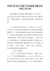 市审计局2022年度工作总结范文暨2022年度工作计划