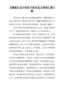 【精推】会计的实习报告范文样例汇聚5篇