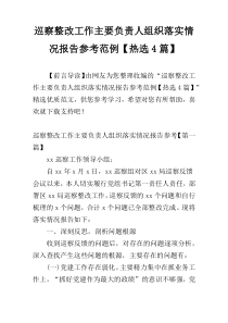 巡察整改工作主要负责人组织落实情况报告参考范例【热选4篇】