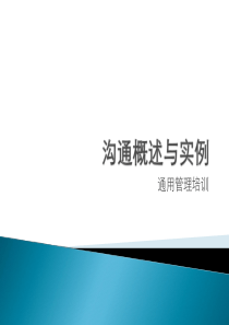 沟通概述与实例（PPT48页)