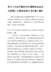 学习《习近平新时代中国特色社会主义思想》心得体会范文【汇集5篇】