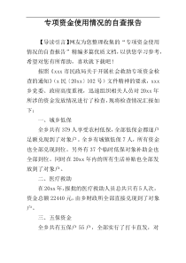 专项资金使用情况的自查报告