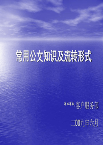 某房地产企业常用公文概念、格式及要求