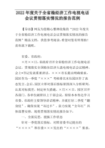 2022年度关于全省稳经济工作电视电话会议贯彻落实情况的报告范例