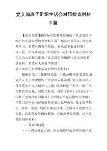 党支部班子组织生活会对照检查材料3篇