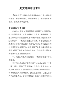 党支部的评价意见