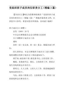 党组织班子成员岗位职责分工（精编3篇）