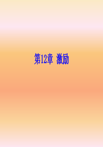 第12章_激励