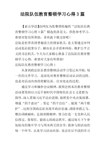 法院队伍教育整顿学习心得3篇