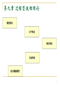 第9章过程型激励理论