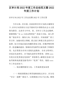 区审计局2022年度工作总结范文暨2022年度工作计划