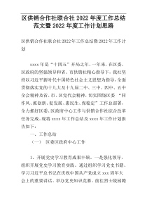 区供销合作社联合社2022年度工作总结范文暨2022年度工作计划思路