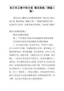 执行民主集中制方面 整改措施（精编3篇）