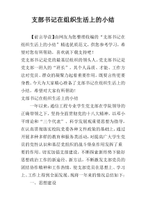 支部书记在组织生活上的小结