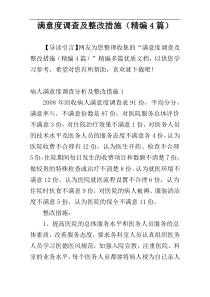 满意度调查及整改措施（精编4篇）