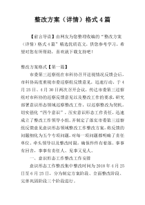 整改方案（详情）格式4篇