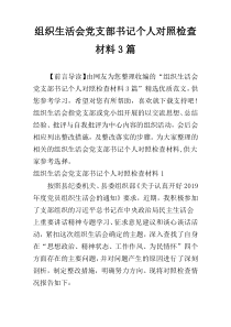 组织生活会党支部书记个人对照检查材料3篇