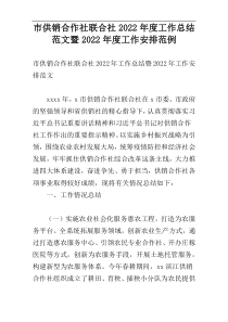 市供销合作社联合社2022年度工作总结范文暨2022年度工作安排范例