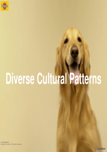 跨文化商务沟通Diverse Cultural Patterns