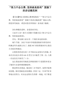 “努力不会白费，坚持就是胜利”国旗下的讲话稿范例