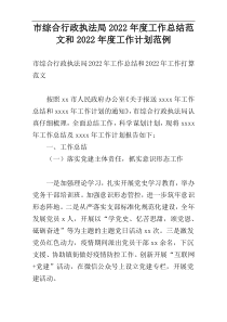 市综合行政执法局2022年度工作总结范文和2022年度工作计划范例