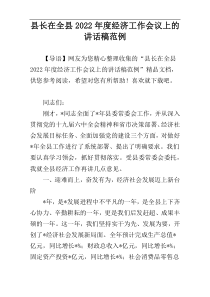 县长在全县2022年度经济工作会议上的讲话稿范例