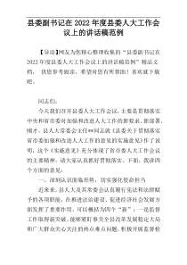 县委副书记在2022年度县委人大工作会议上的讲话稿范例