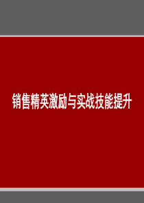 销售精英激励与实战技能提升