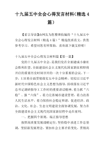 十九届五中全会心得发言材料（精选4篇）