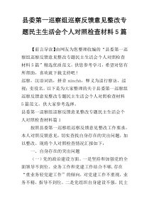 县委第一巡察组巡察反馈意见整改专题民主生活会个人对照检查材料5篇