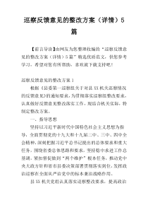 巡察反馈意见的整改方案（详情）5篇