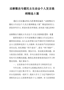 巡察整改专题民主生活会个人发言提纲精选5篇