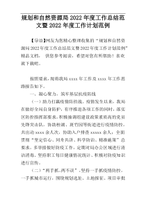 规划和自然资源局2022年度工作总结范文暨2022年度工作计划范例