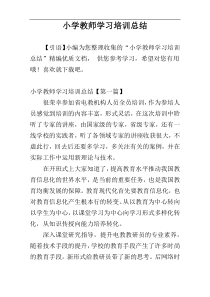 小学教师学习培训总结