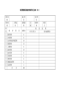 20项目管理检查考核评分表(项目)