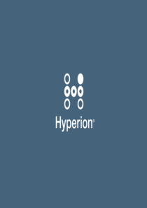 HP-驱动全面绩效管理的HyperionBI解决方案