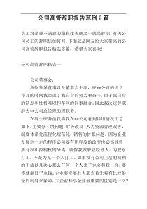 公司高管辞职报告范例2篇